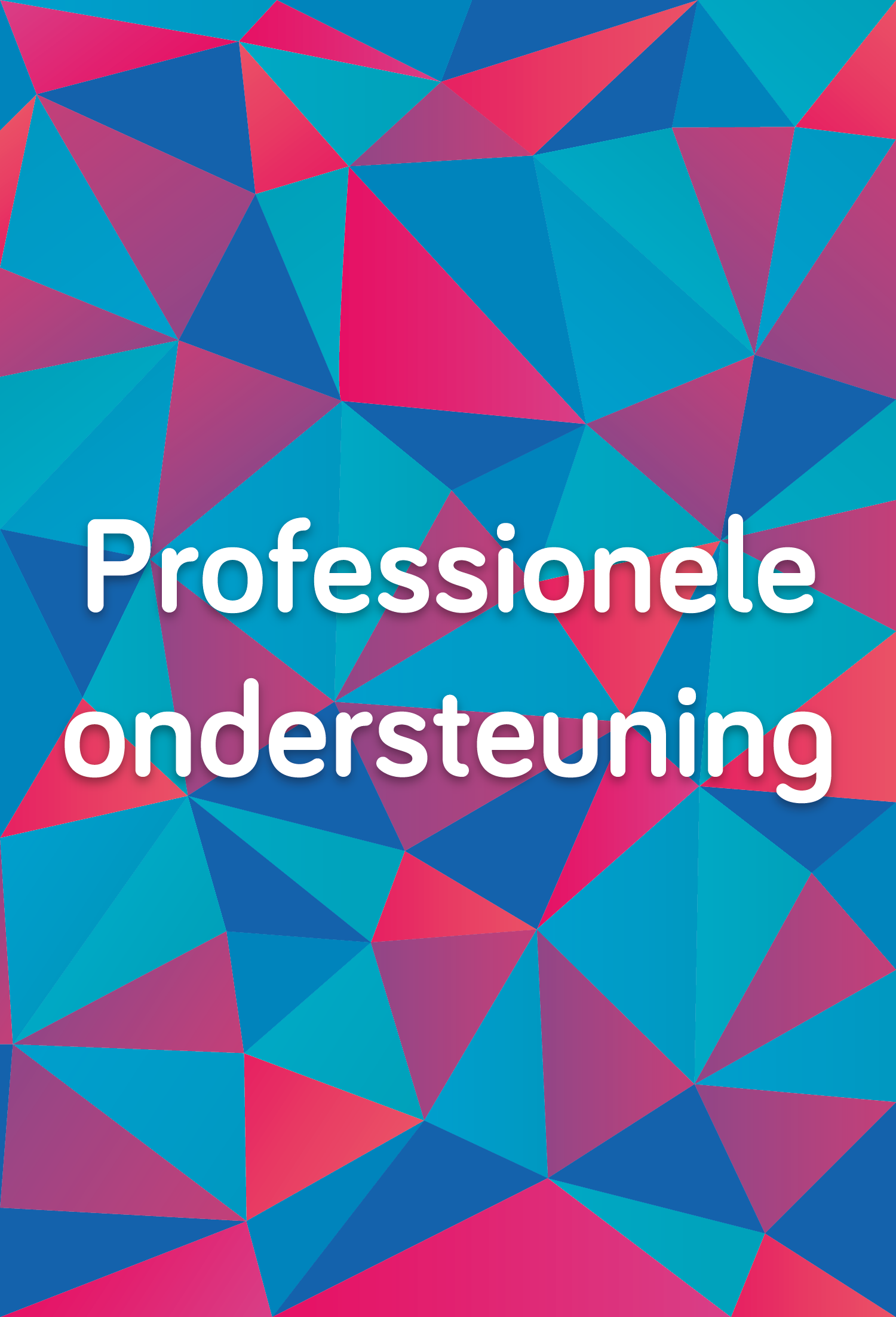 professionele-ondersteuning-team-leden